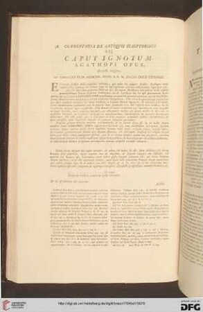 VII. Caput ignotum / VII. Testa ignota