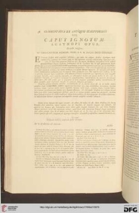 VII. Caput ignotum / VII. Testa ignota