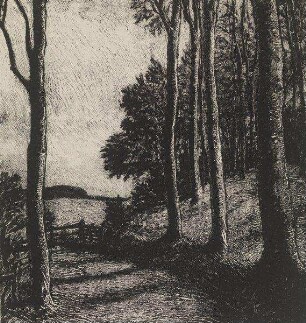Waldweg