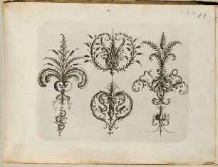 Groteskes Ornament mit Knorpelwerk, Blatt aus dem "Neuw Grotteßken Buch"