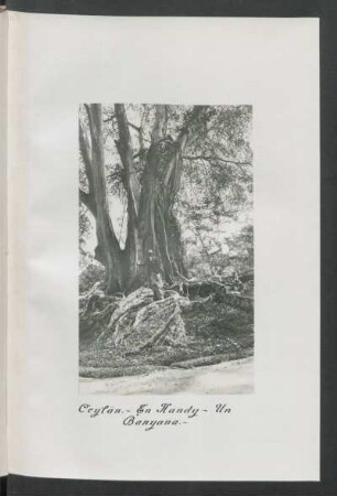 Ceylon. - En Kandy - Un Banyana. - [Fotografía]