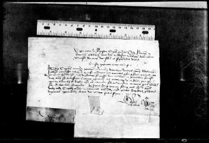 Extract aus dem Register des Generalkapitels der Prämonstratenser, wonach Abt Leonhard von Adelberg im Notfall sich mit den Kostbarkeiten des Klosters an einen sicheren Ort ("tutiori oppido") flüchten darf.