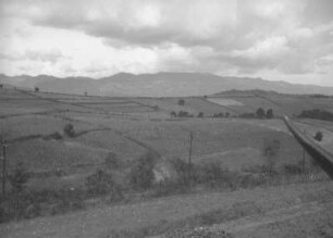 Plantage : Blick über Felder
