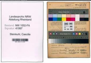Entnazifizierung Caecilie Steinkuhl, geb. 21.01.1900 (Vekaeuferin)