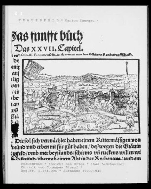 Ansicht von Frauenfeld aus der Schweizer Chronik von Johannes Stumpf