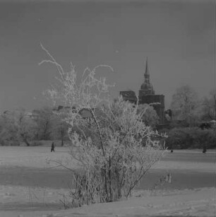 Stralsund. Blick über den Knieperteich zur Nikolaikirche