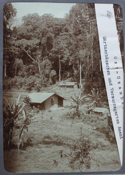 Est d'Usambara. Maison du jardinier et jardin expérimental d'Amani