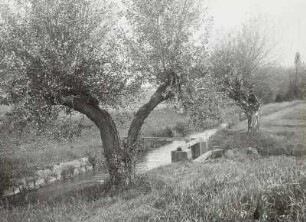 Floßgraben bei Pegau