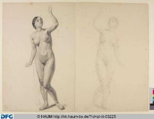 Stehender weiblicher Akt mit erhobenem Arm