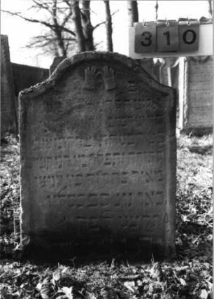 Grabstein 310 (Index: 100115857) Material: Sandstein Zustand: verwittert mit Textverlust Maße HxBxT: 89x57x12 cm Beschreibung: Stele mit eingezogenem Segmentbogenabschluß, eingetieftes Schriftfeld Symbolik: Cohanim-Hände: Grabstein 310