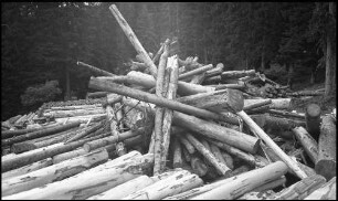 Valser Tal: Haufen von gefällten Baumstämmen