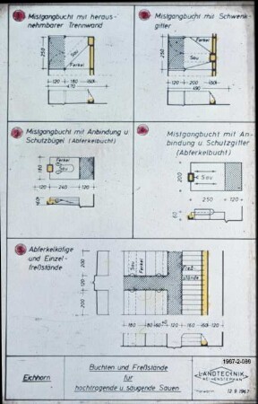 Buchten und Fressstände für hochtragende und säugende Sauen