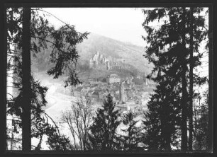 Blick über Mainspitze zur Burg Wertheim