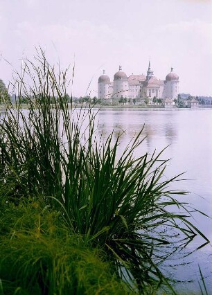 Moritzburg. Blick zum Schloß