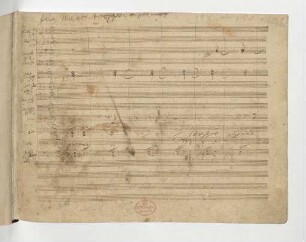 [1. Satz] Allegro ma non troppo e un poco maestoso (ohne Takte 255-259) [autogr. 2, f. 1r-49v]