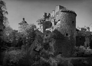 Archivfotografie "heidelberg_schloss_p1914neg"