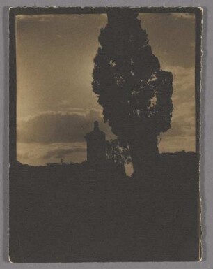 Silhouette von Baum und Turm im Abendhimmel