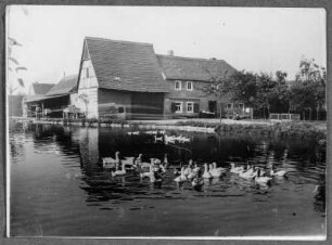 Vorm Dorfteich in Bad Lausick