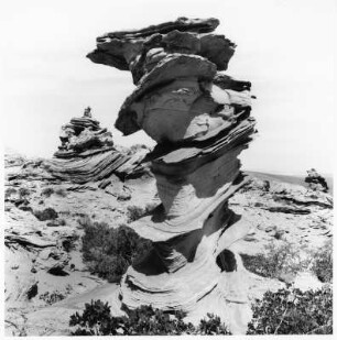 Schichtgestein, Coyote Buttes (USA)