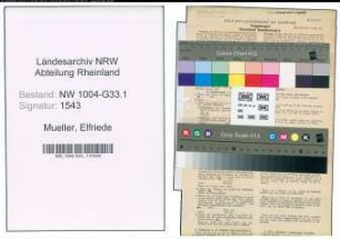 Entnazifizierung Elfriede Mueller , geb. 28.10.1900 (Lehrerin)