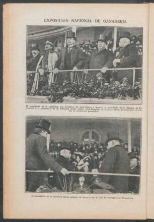 Exposición Nacional de Ganadería - [Ilustración]