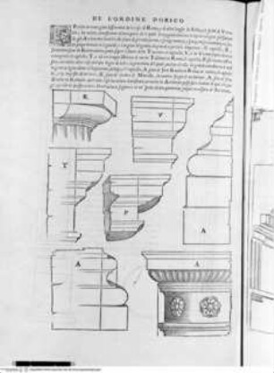 Regole generali di architettura di Sabastiano Serlio bolognese sopra le cinque maniere degli edifici, ... (4. Buch), Folio XIX verso: Dorische Säulen, Details
