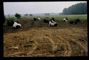 LPG bei Golm 6.6.79