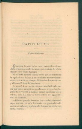Capítulo VI. - Pedro Gallego.