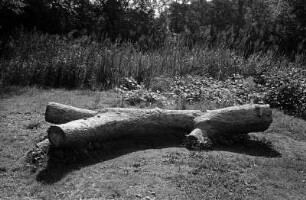 Berlin-Pankow : In Berlin-Pankow, Botanische Anlage