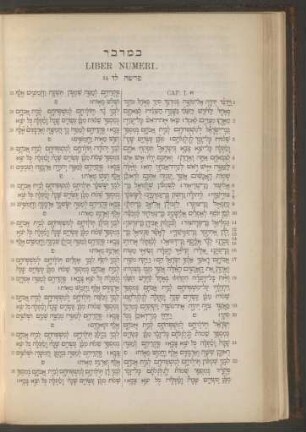 Liber Numeri