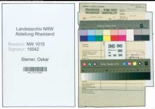 Entnazifizierung Oskar Steiner , geb. 25.11.1893 (Finanzbeamter)