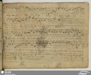 [36.] Anonymus: Justorum animae
