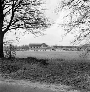 Heinrichshof, Gut: Blick über die Ländereien auf die stillgelegte Schweinemastanlage mit Futtermittelgebäude: vorn Böschung und Bäume