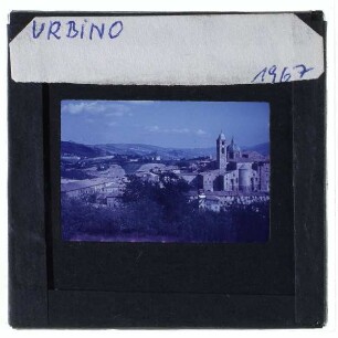 Urbino, Dom