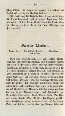 Sechster Abschnitt. Freudenstadt. - Die liebliche Blondine. - Rippoldsau. - Der Kniebis