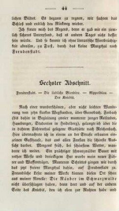 Sechster Abschnitt. Freudenstadt. - Die liebliche Blondine. - Rippoldsau. - Der Kniebis