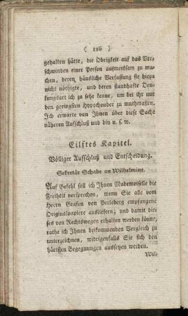 Eilftes Kapitel. Völliger Aufschluß und Entscheidung.