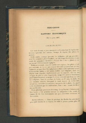 Rapport economique