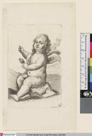 [Sitzender Putto nach links, eine Blume haltend]