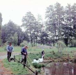 Leben im Dorf Hohburg (Wurzen): Am Dorfteich