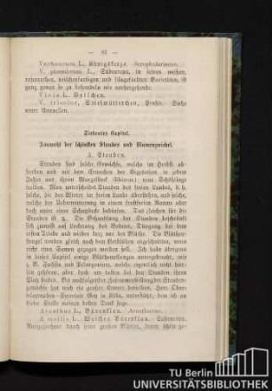 Siebentes Kapitel. Auswahl der schönsten Stauden und Blumenzwiebel.