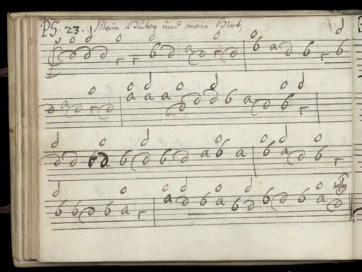 Mein Hüter und mein Hirt, Ps. 23