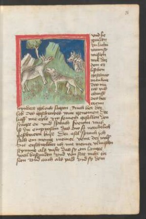Brüllender Esel, Löwe und Wölfe