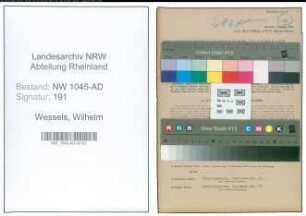 Entnazifizierung Wilhelm Wessels , geb. 01.04.1890 (Fleischbeschauer)
