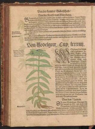 Von Modelgeer, Cap. LXXXIIII