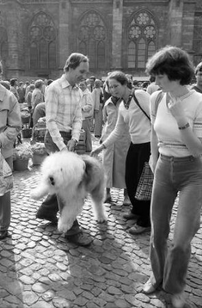 Freiburg i. Br.: Münsterplatz: Marktszenen am Kornhaus