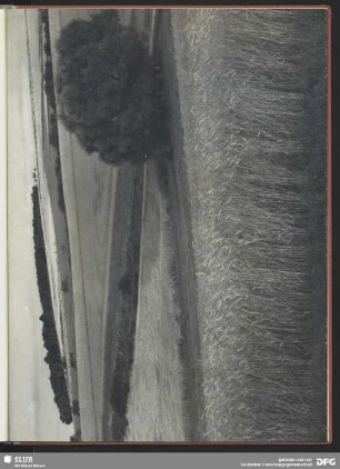 Südhang der Haar