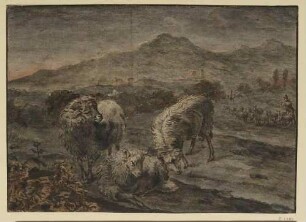 Weidende Schafe