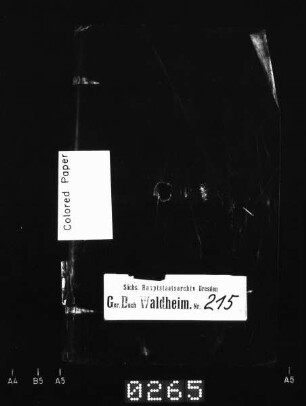 Gerichtshandelsbuch von Grünlichtenberg, Meinsberg, Massanei, Moosheim, Höckendorf (bei Waldheim) und Richzenhain