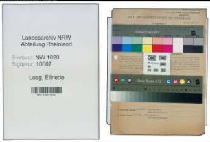 Entnazifizierung Elfriede Lueg , geb. 21.01.1902 (Kaufmann)